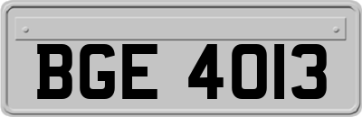 BGE4013