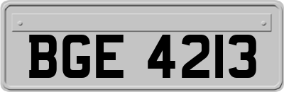 BGE4213