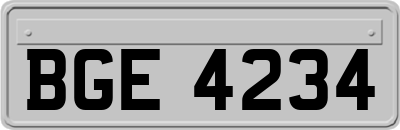 BGE4234