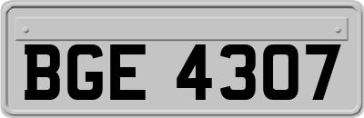 BGE4307