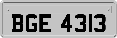 BGE4313