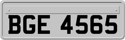 BGE4565