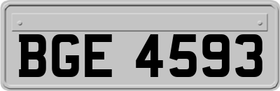 BGE4593