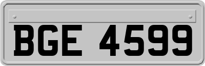 BGE4599