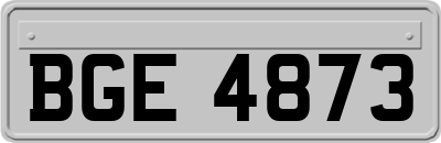 BGE4873