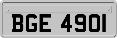 BGE4901