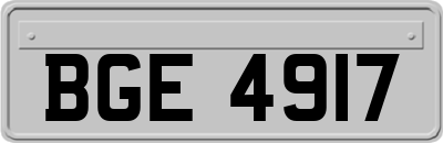 BGE4917