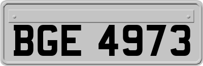 BGE4973