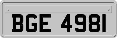 BGE4981