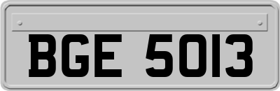 BGE5013