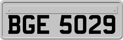BGE5029