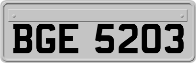 BGE5203