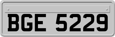 BGE5229
