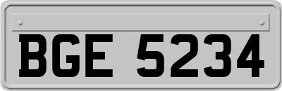 BGE5234