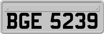 BGE5239