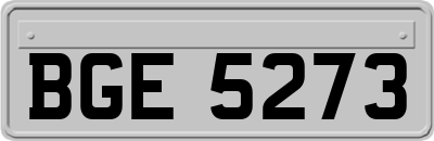 BGE5273