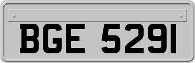 BGE5291