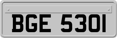 BGE5301