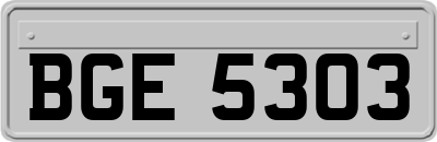 BGE5303