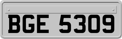BGE5309