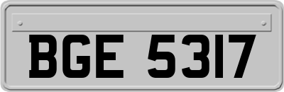 BGE5317