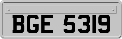 BGE5319