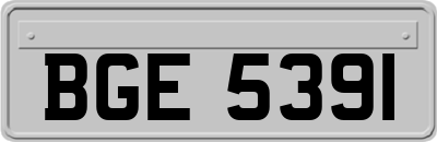 BGE5391