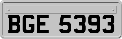 BGE5393