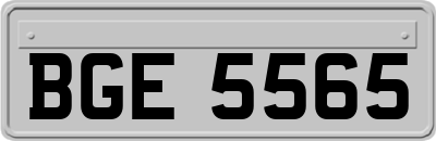 BGE5565