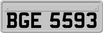 BGE5593