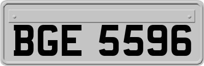 BGE5596