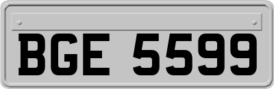 BGE5599