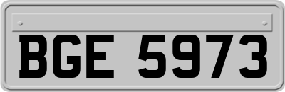 BGE5973