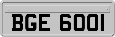 BGE6001