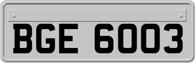 BGE6003