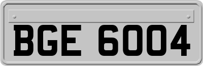 BGE6004