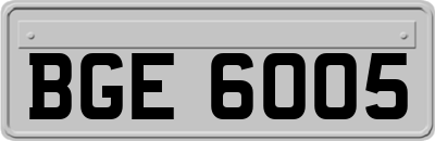 BGE6005
