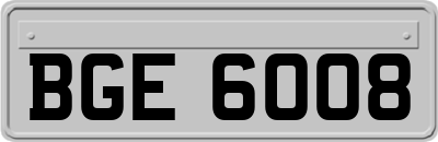 BGE6008