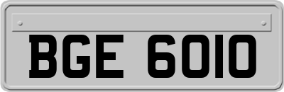 BGE6010