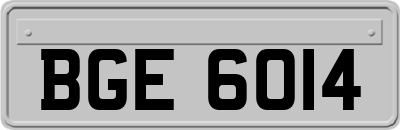 BGE6014