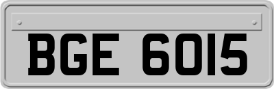 BGE6015