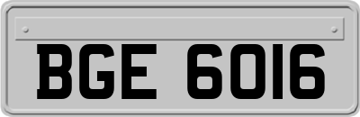 BGE6016