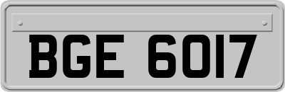 BGE6017