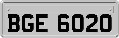 BGE6020