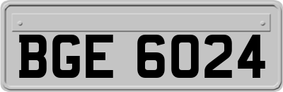 BGE6024