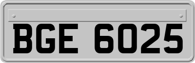 BGE6025