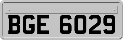 BGE6029