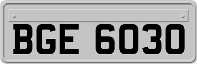 BGE6030