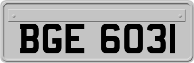 BGE6031