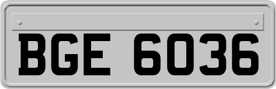 BGE6036